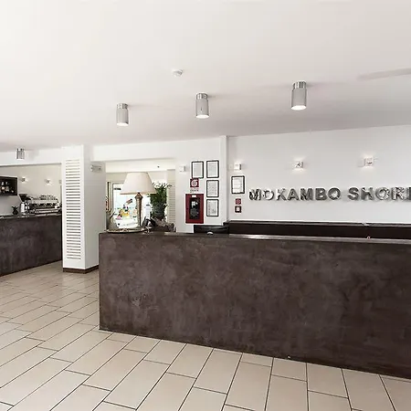 Color Mokambo Shore Family 체제나티코